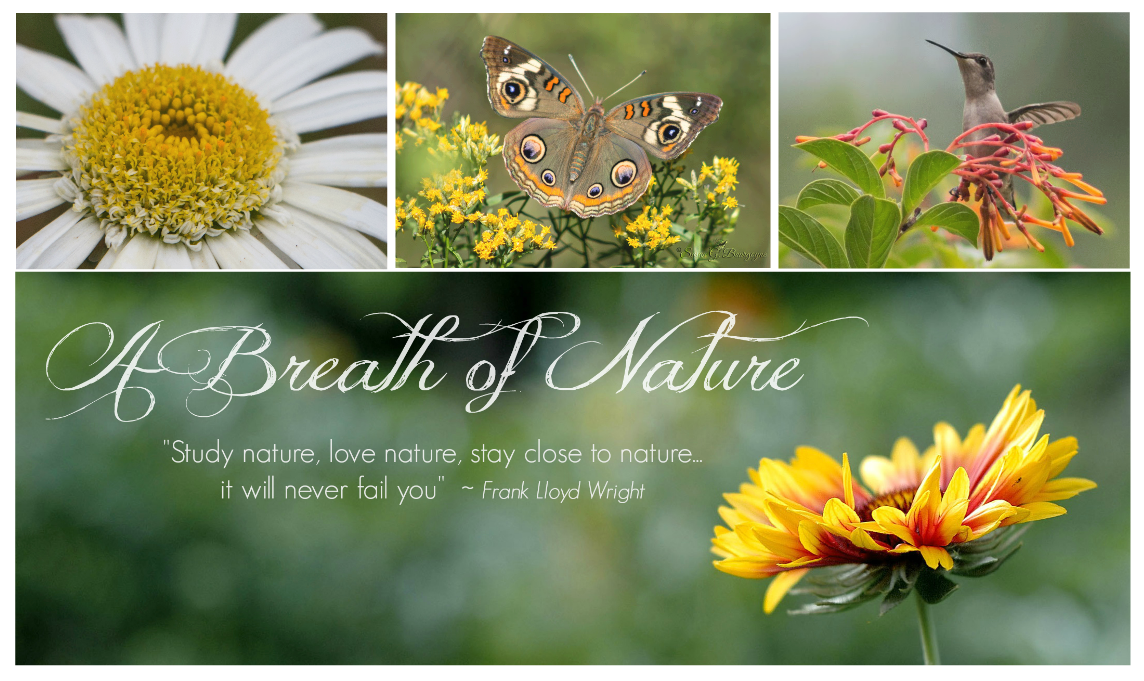 A Breath of Nature