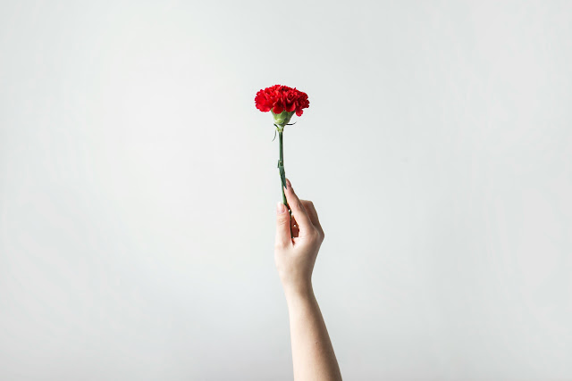 صورة بنت تمسك وردة حمراء ، صور ورد احمر طبيعي جميل بجودة 4K