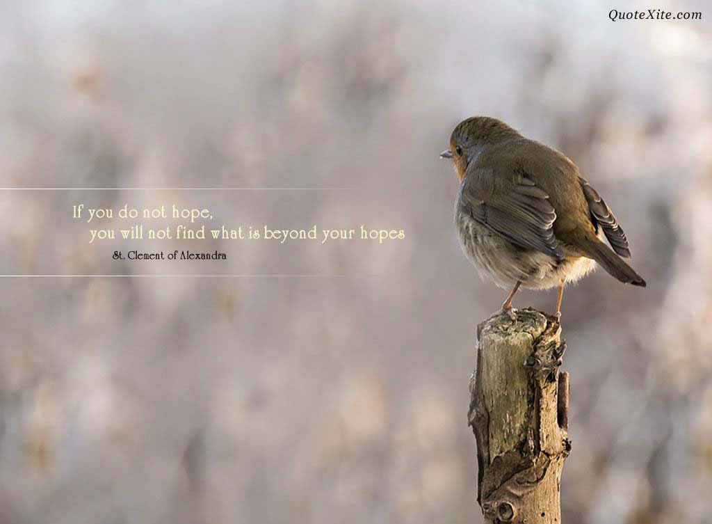 √ Comforting Wallpapers - HD Wallpapers