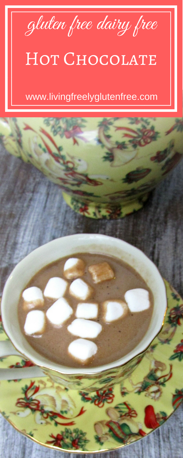 Hot Chocolate (Dairy Free, Gluten Free) Living Freely Gluten Free