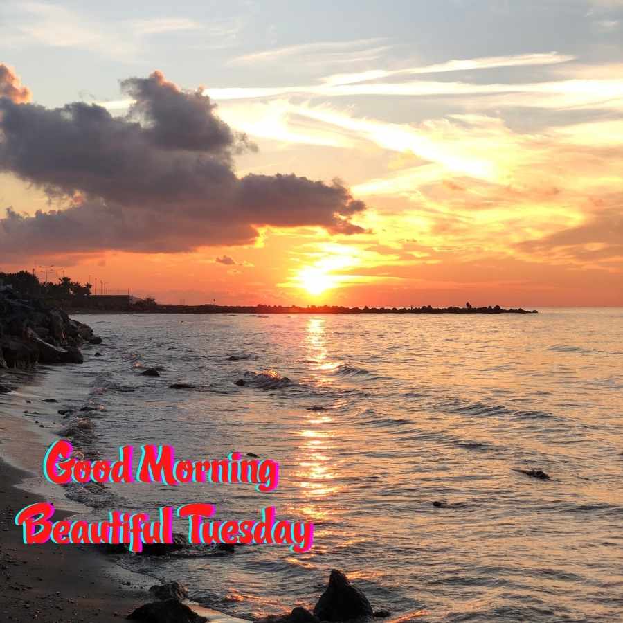 good morning happy tuesday god bless you