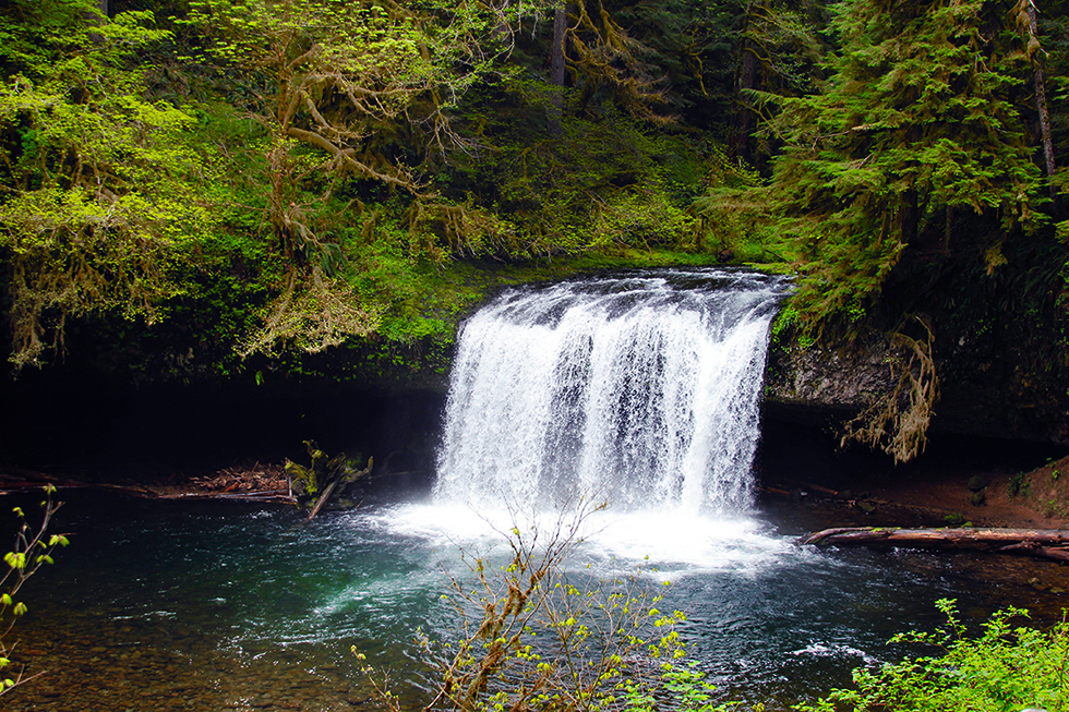 Photographing Oregon Butte Creek Falls