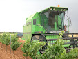 Cereal harvesting days... machinery has changed a lot / Cosecha de cereales... mucho ha cambiado la maquinaria