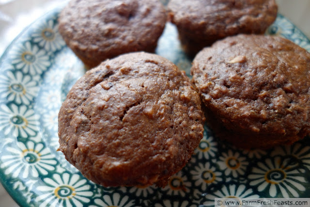 http://www.farmfreshfeasts.com/2013/06/double-chocolate-raspberry-muffins-and.html