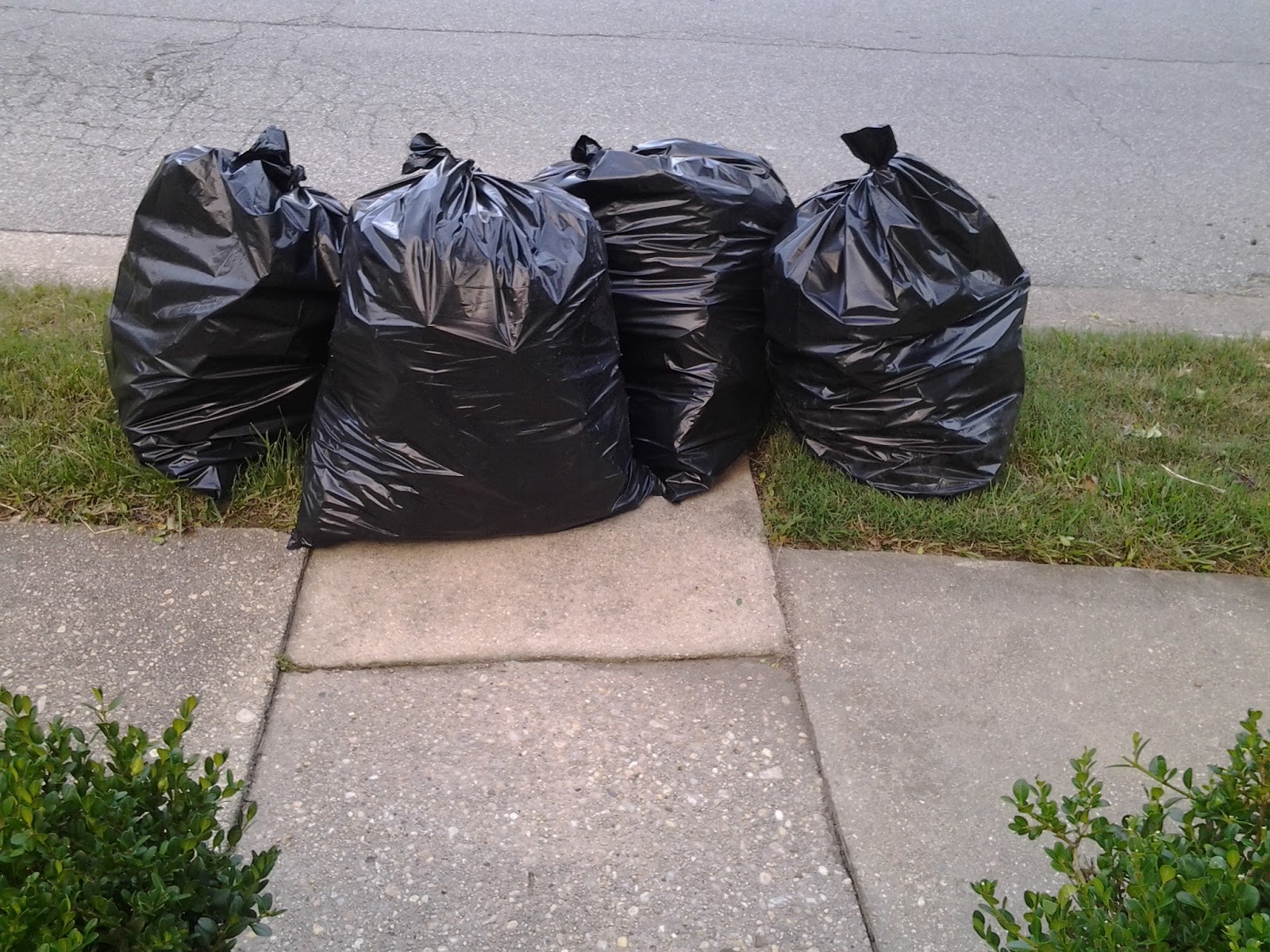 HOME FOOD GARDEN Transplanting, Mulching and Other Outdoor Activities