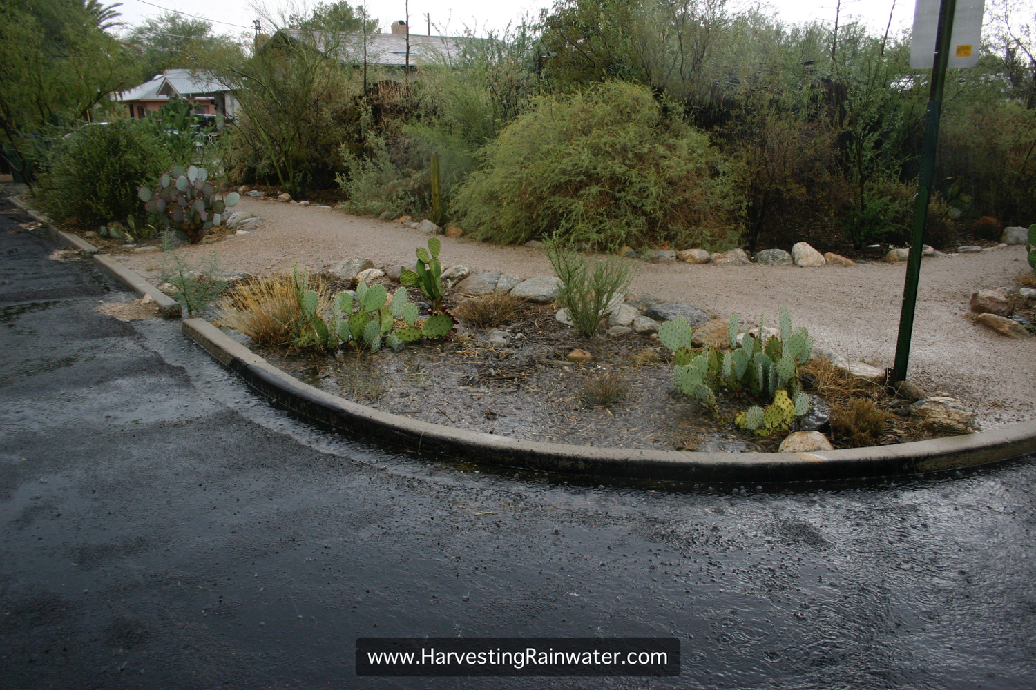 Little Homestead In Boise Rain Water Harvesting in the Desert, Ideas