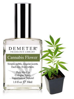 Q Perfume Blog
