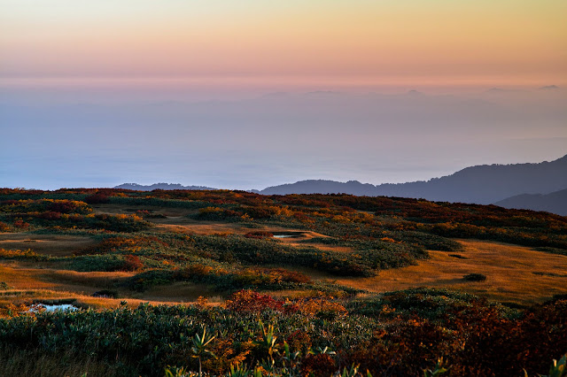 #photo #landscape #sigma #foveon #sdquattroh #japan #yamagata #tsuruoka #山形県 #鶴岡市 #山形帝國 #写真 #風景写真