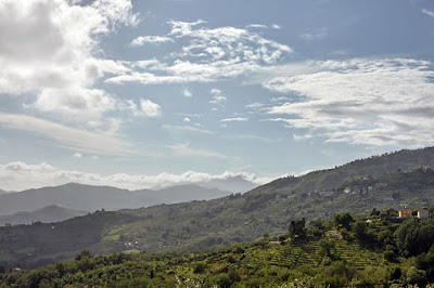 Tenuta di Valgiano view