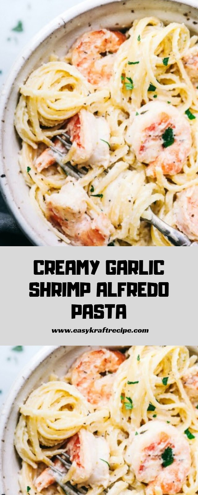 CREAMY GARLIC SHRIMP ALFREDO PASTA CREAMY GARLIC SHRIMP ALFREDO PASTA