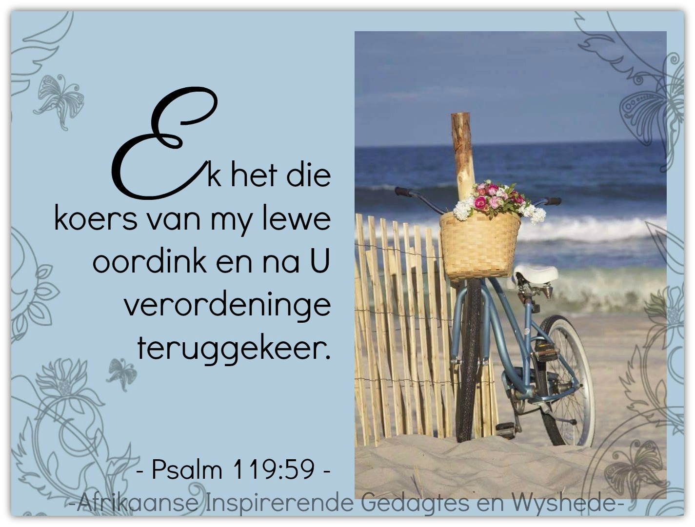 Afrikaanse Inspirerende Gedagtes Wyshede afrikaanse-inspirerende-gedagtes-wyshede