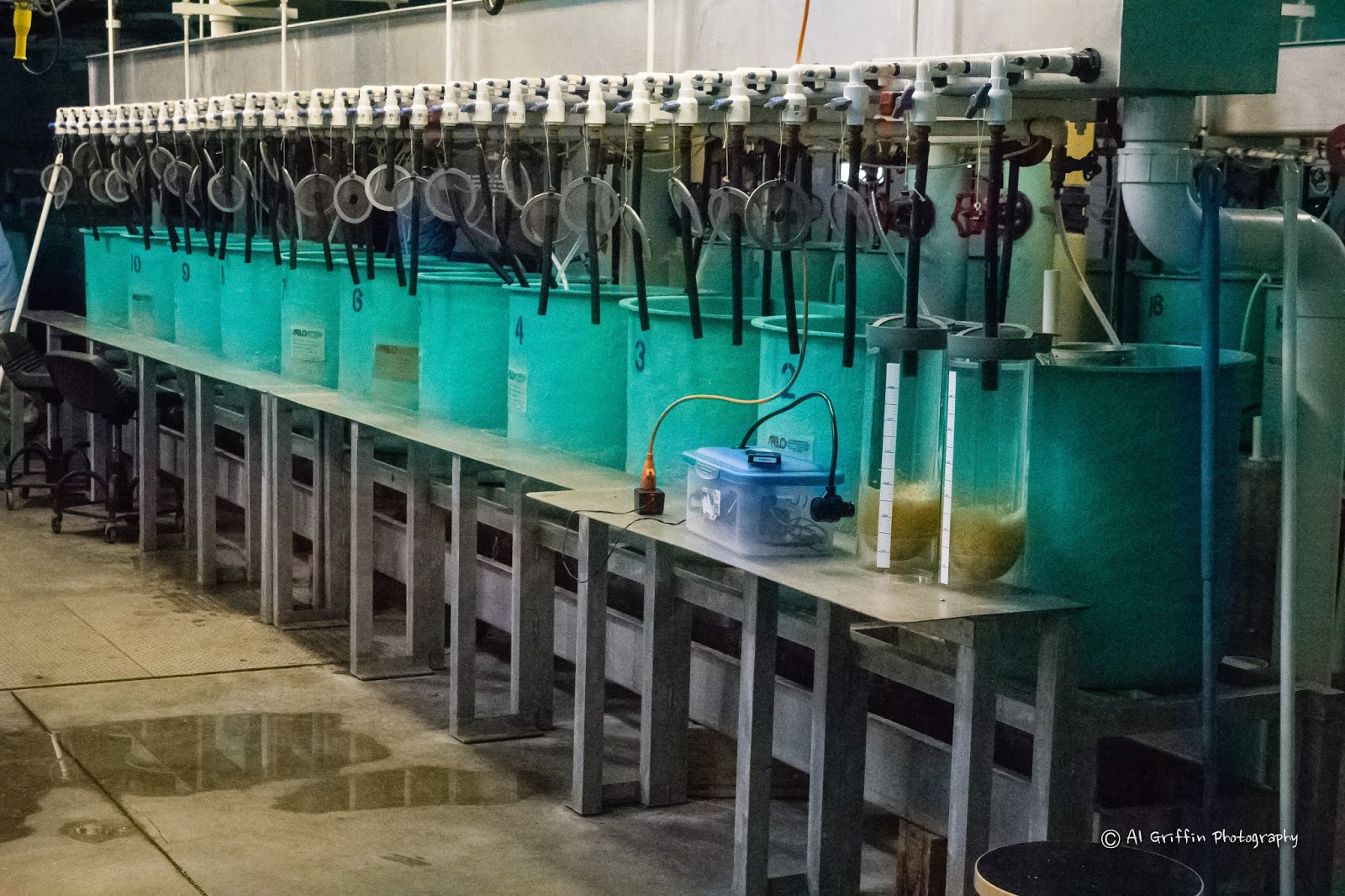 Our Eyes Upon Missouri Lost Valley Fish Hatchery, Warsaw, Missouri