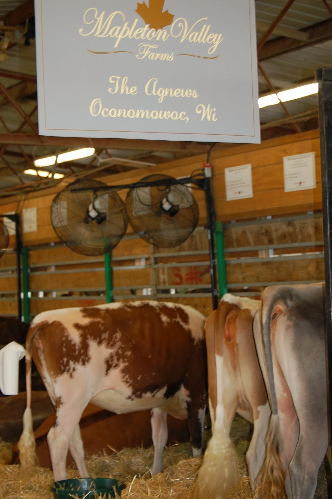 NEWS Scenes from around World Dairy Expo