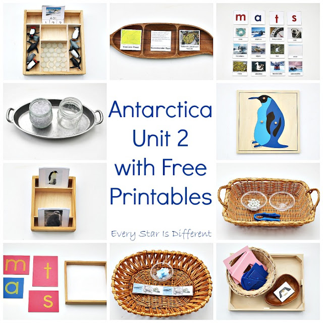 Montsesori-inspired Antarctica learning activities and free printables for kids.