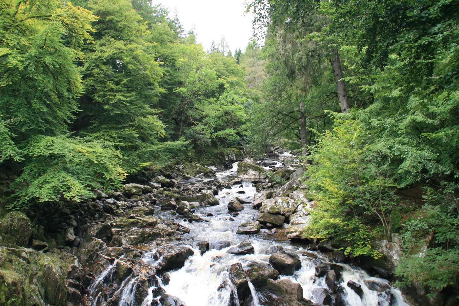 Anthony Nguyen The Scottish say 'aye' with a hearty accent!