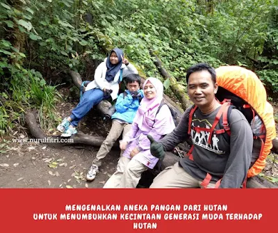 Pakis dari Hutan Sebagai Sumber Pangan