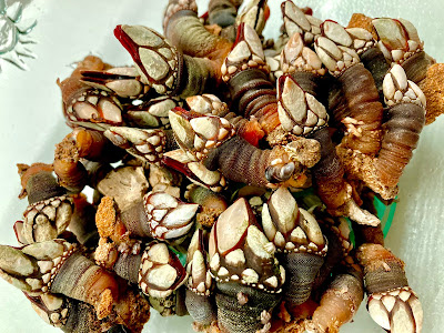 Percebes - El gastrónomo - El troblogdita - Navidad - Marisco - Receta