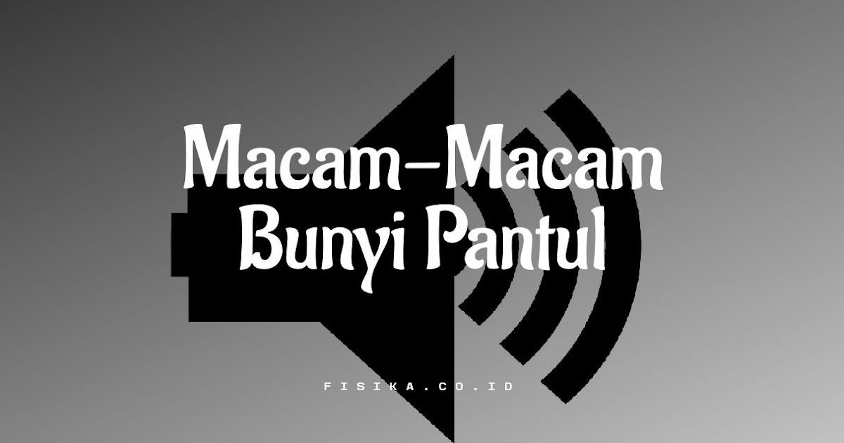 3 Macam Bunyi Pantul Menurut Fisika Fisika