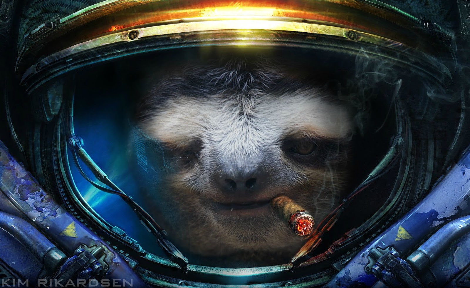Sloth Wallpapers Sloth Wallpapers