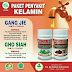 Khasiat Obat De Nature Kapsul Gang Jie Dan Gho Siah