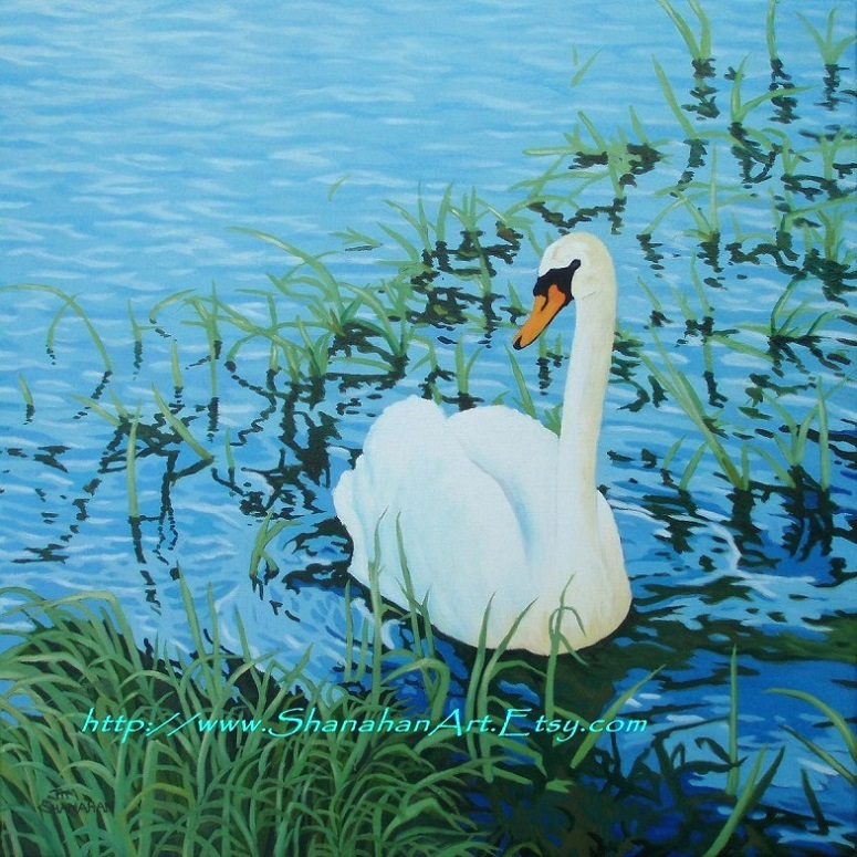 Swan in Reeds --- For Sale Unframed --- Euro 315
