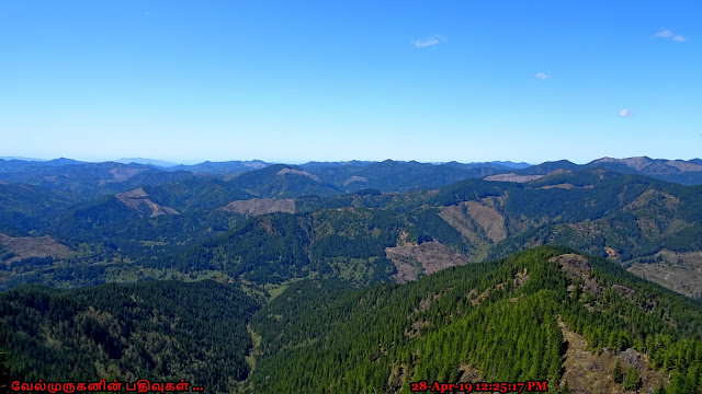 Tillamook State Forest Oregon