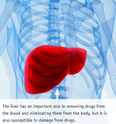 paracetamol liver damage paracetamol liver damage