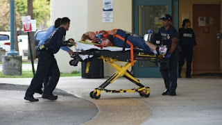 Ft Lauderdale Airport shooting, Esteban Santiago