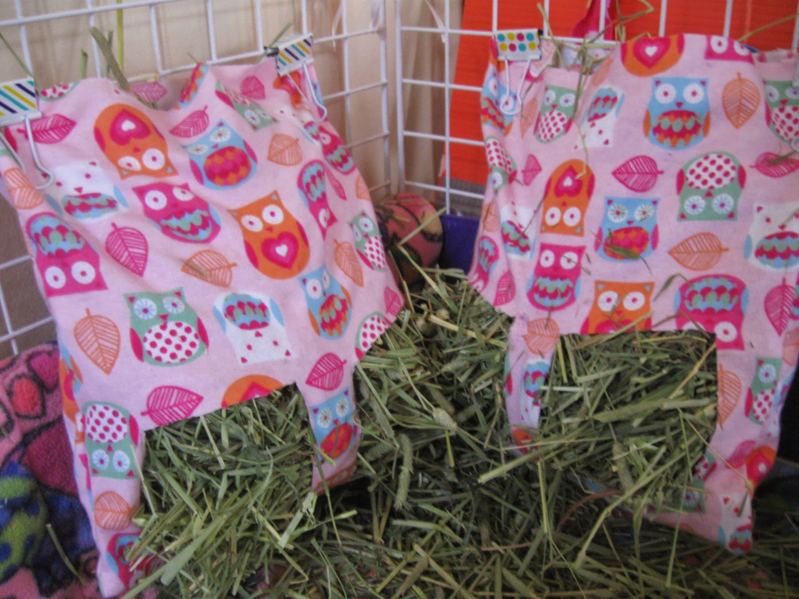 Two Curious Cavies Guinea Pig Hay Bag
