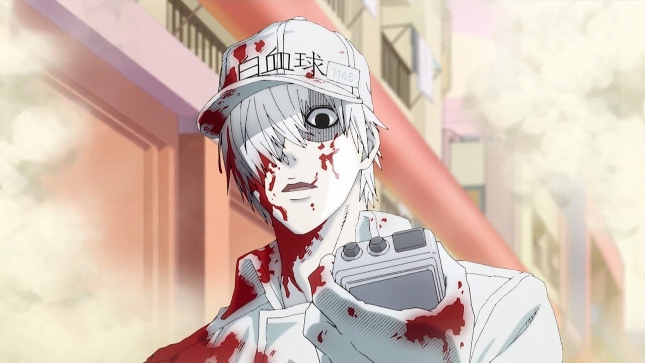 White Blood Cell U-1146