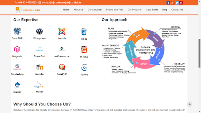 http://www.codebase.co.in/services/development-services-web-development-india
