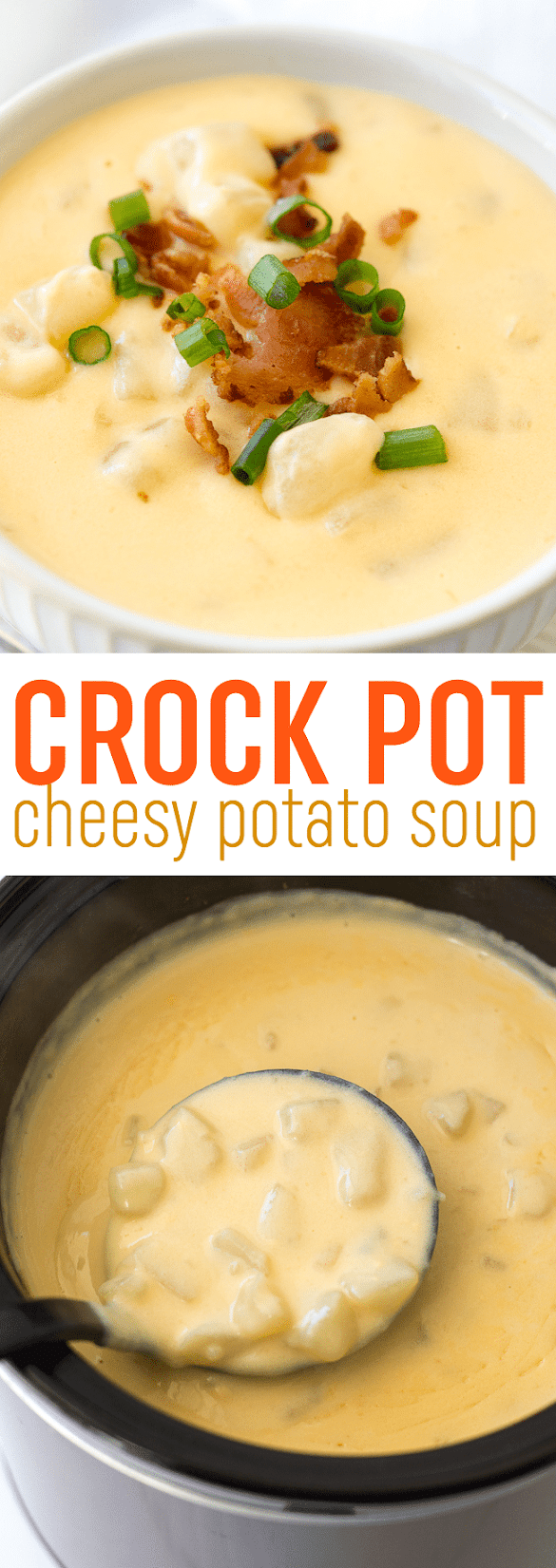 CROCK POT CHEESY POTATO SOUP