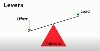 10 Facts about Levers | MooMooMath and Science
