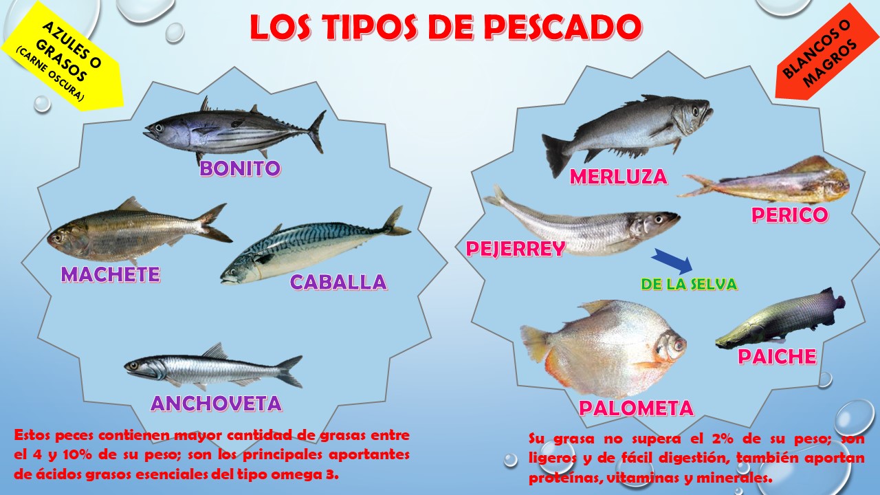 Bitácora Nutrilúdico CONOCIENDO LOS TIPOS DE PESCADO