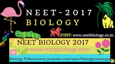 NEET Biology 2017 Questions with Answers