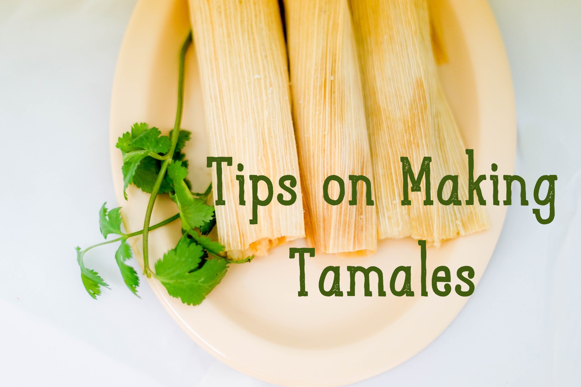 Homemade Tamales With Easy Cooking Tips