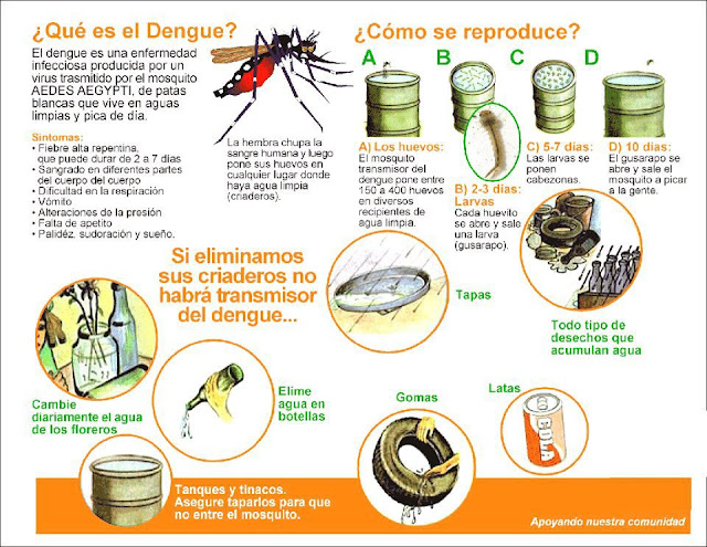 Resultado de imagen de dengue