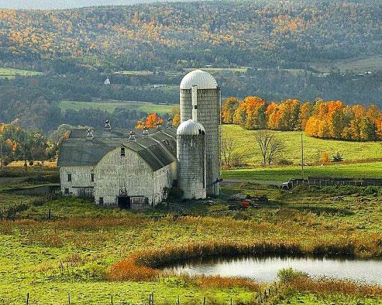 farm scapes farm scapes