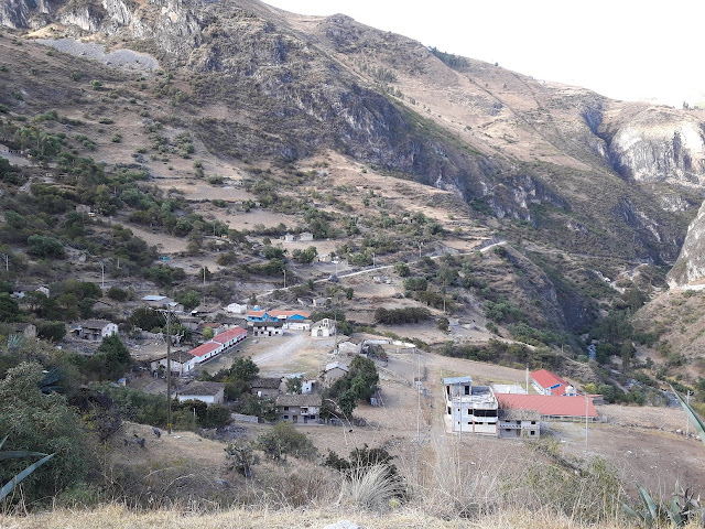 Sarconta