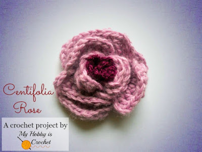 Crochet Flower Projects and Book Review: "100 Flowers to Knit and Crochet" by Lesley Stanfield 