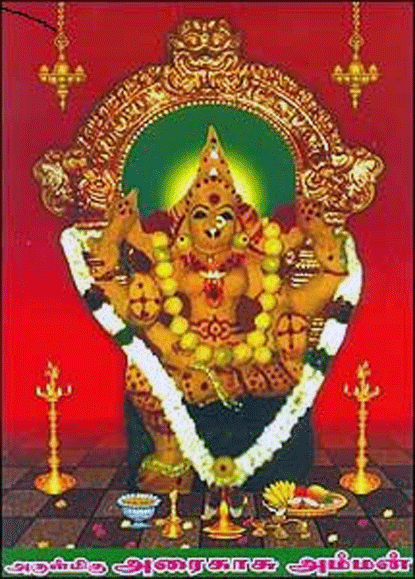 Amman potri