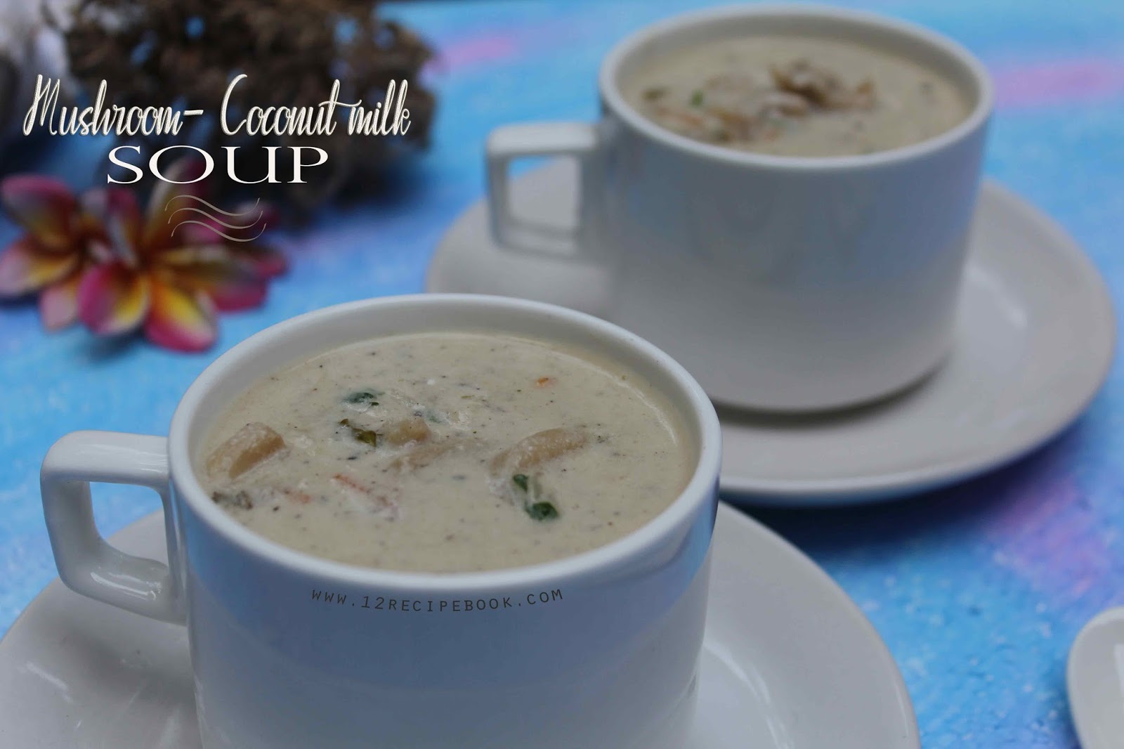 Mushroom Coconut milk Soup Recipe Book