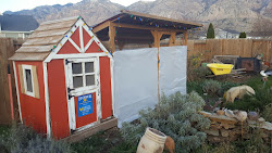 coop chicken cold weather ready wrapped