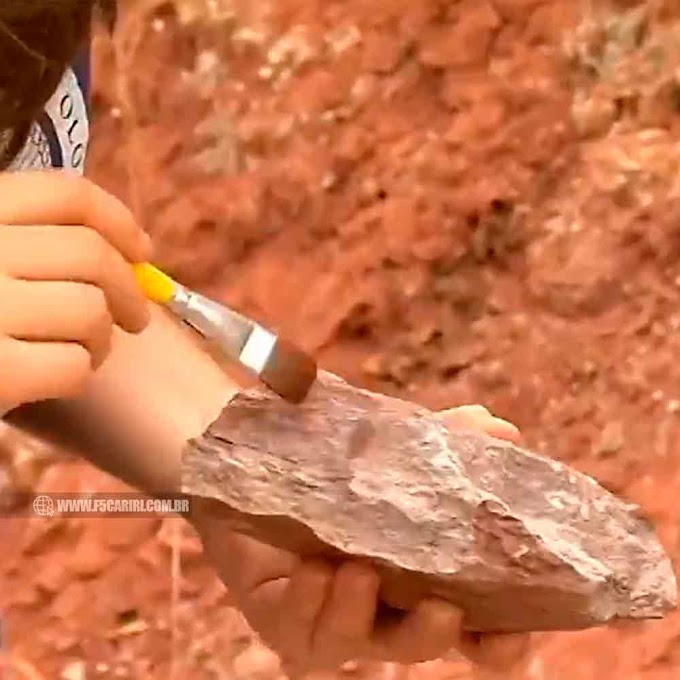  Fóssil de ‘tubarão’ de 150 milhões de anos é encontrado em Missão Velha, no Ceará