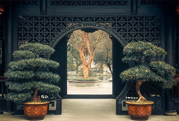 注意這幾種住宅風水,讓你越來越富有! 注意這幾種住宅風水,讓你越來越富有!