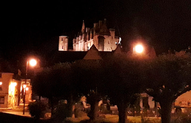 Looking up at Loches chateau at night