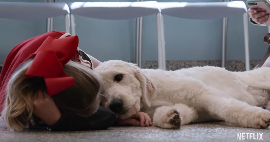Netflix's Dogs Full Season Review