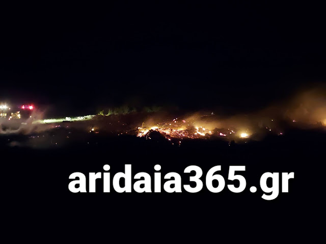 Πυρκαγιά στο Γαρέφι Αλμωπίας στην Αριδαία Πυρκαγιά στο Γαρέφι Αλμωπίας στην Αριδαία