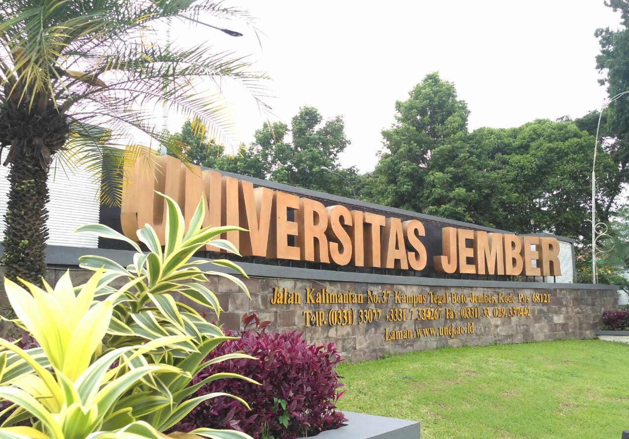Prodi Paling Diminati Di Universitas Jember Campus Zone Info