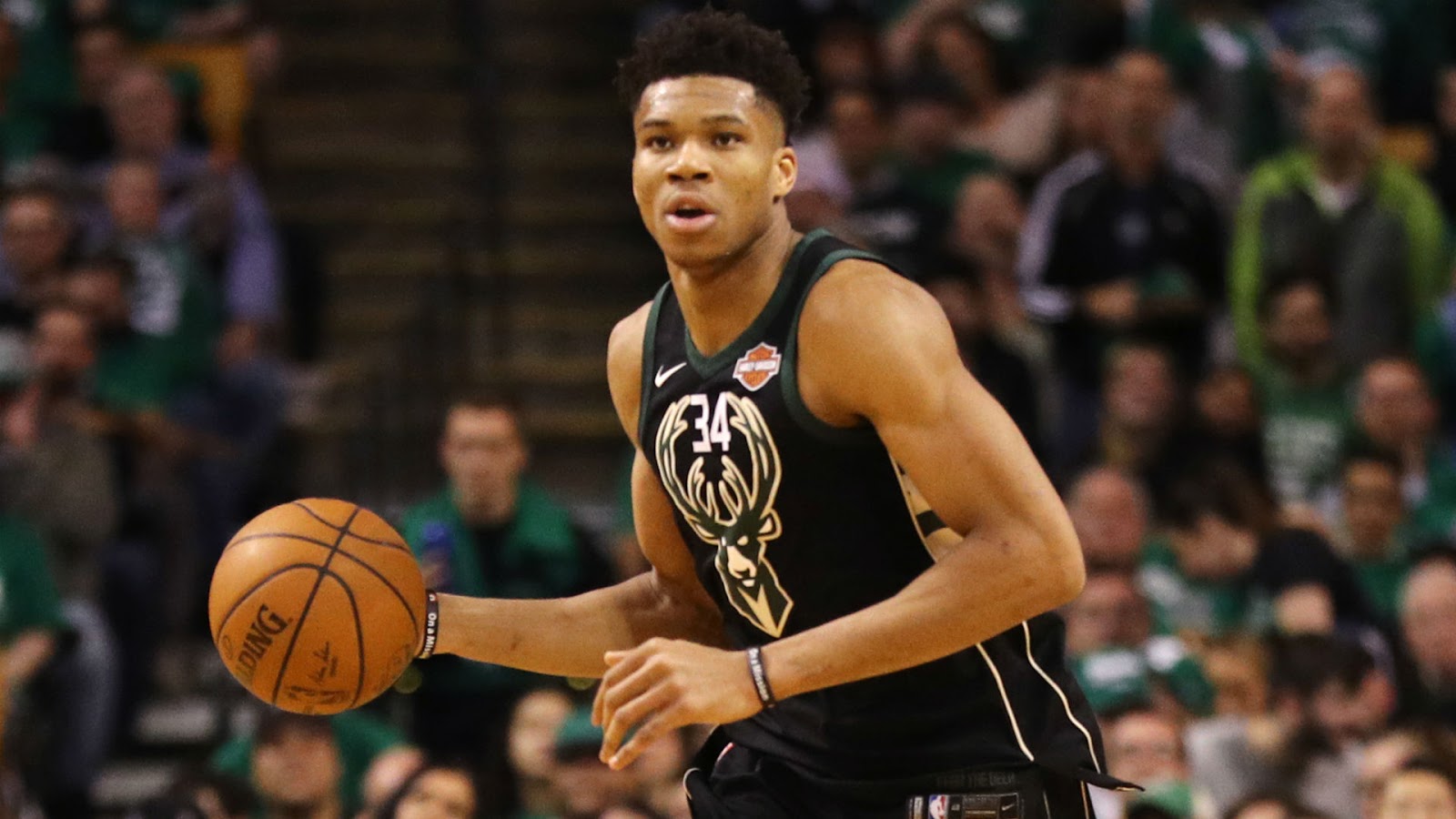 Giannis antetokounmpo american citizen image